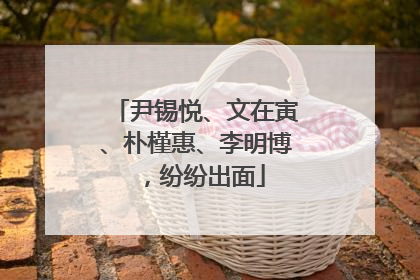 尹锡悦、文在寅、朴槿惠、李明博，纷纷出面