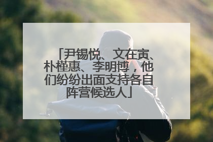 尹锡悦、文在寅、朴槿惠、李明博，他们纷纷出面支持各自阵营候选人