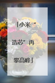 小米“造芯”再攀高峰