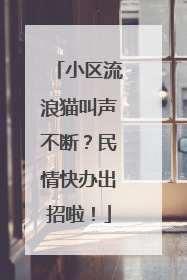 小区流浪猫叫声不断？民情快办出招啦！