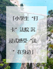 小学生“打卡”法院 沉浸式感受“法”在身边