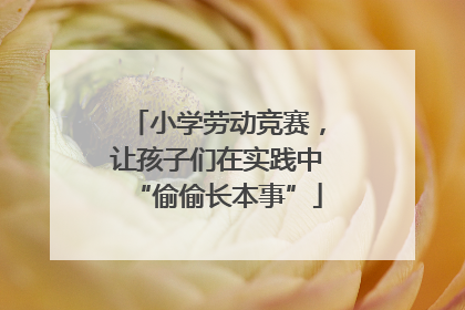 小学劳动竞赛，让孩子们在实践中“偷偷长本事”