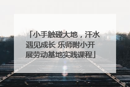小手触碰大地，汗水遇见成长 乐师附小开展劳动基地实践课程