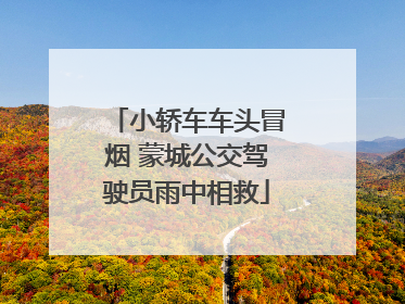小轿车车头冒烟 蒙城公交驾驶员雨中相救