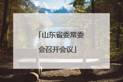 山东省委常委会召开会议