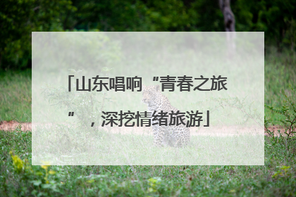 山东唱响“青春之旅”，深挖情绪旅游