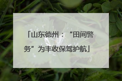 山东德州：“田间警务”为丰收保驾护航