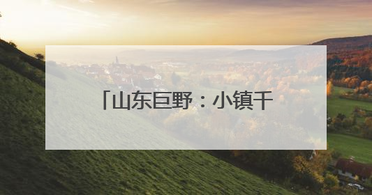 山东巨野：小镇千亩胡萝卜基地迎来“智慧大丰收”