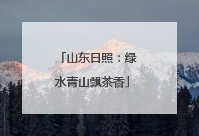 山东日照：绿水青山飘茶香