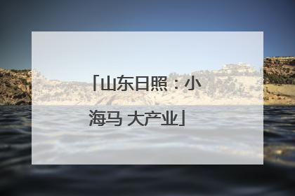 山东日照：小海马 大产业