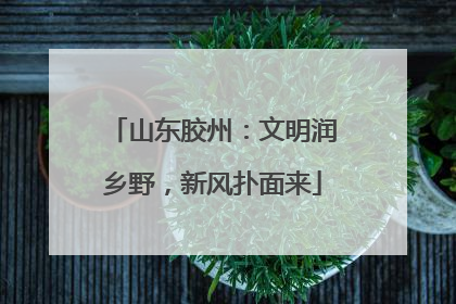 山东胶州：文明润乡野，新风扑面来