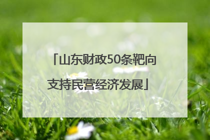 山东财政50条靶向支持民营经济发展