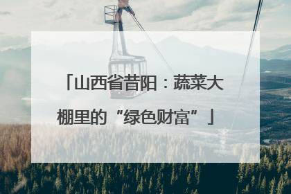 山西省昔阳：蔬菜大棚里的“绿色财富”