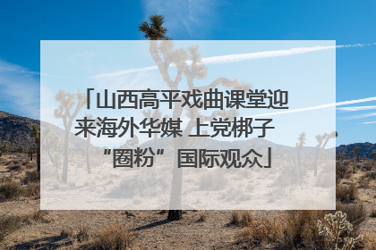山西高平戏曲课堂迎来海外华媒 上党梆子“圈粉”国际观众