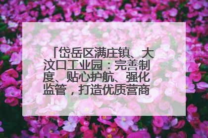 岱岳区满庄镇、大汶口工业园：完善制度、贴心护航、强化监管，打造优质营商“强磁场”