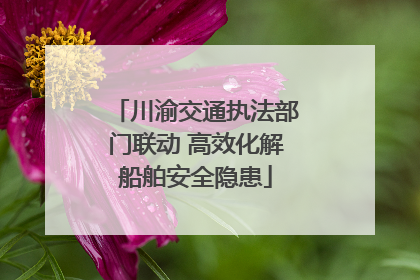 川渝交通执法部门联动 高效化解船舶安全隐患