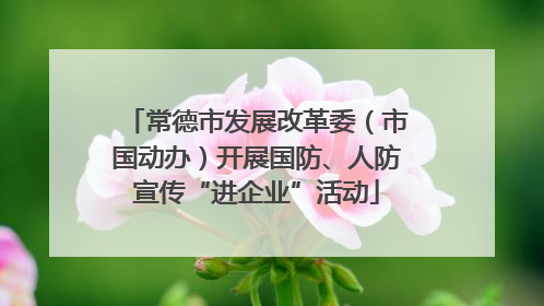 常德市发展改革委（市国动办）开展国防、人防宣传“进企业”活动