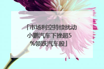 市场利空持续扰动 小鹏汽车下挫超5%领跌汽车股