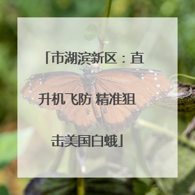市湖滨新区：直升机飞防 精准狙击美国白蛾