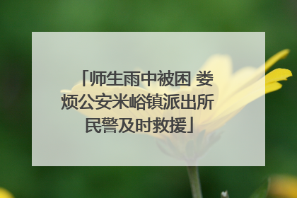 师生雨中被困 娄烦公安米峪镇派出所民警及时救援