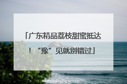 广东精品荔枝甜蜜抵达！“豫”见就别错过