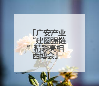 广安产业“建圈强链”精彩亮相西博会