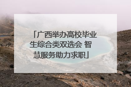 广西举办高校毕业生综合类双选会 智慧服务助力求职