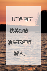 广西南宁秋英绽放 浪漫花海醉游人