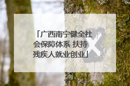 广西南宁健全社会保障体系 扶持残疾人就业创业