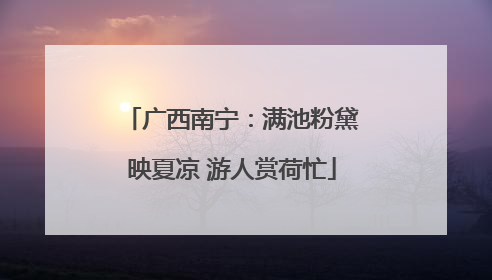 广西南宁：满池粉黛映夏凉 游人赏荷忙