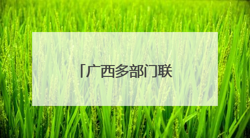 广西多部门联合发布残疾人权益典型案例