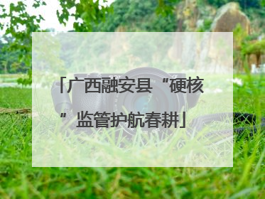 广西融安县“硬核”监管护航春耕