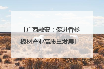广西融安：促进香杉板材产业高质量发展