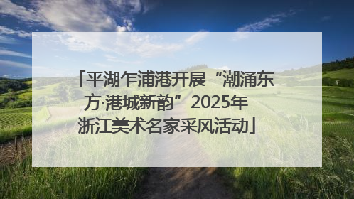 平湖乍浦港开展“潮涌东方·港城新韵”2025年浙江美术名家采风活动