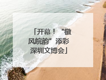开幕！“徽风皖韵”添彩深圳文博会