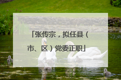 张传宗，拟任县（市、区）党委正职