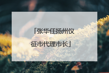 张华任扬州仪征市代理市长