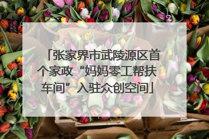 张家界市武陵源区首个家政“妈妈零工帮扶车间”入驻众创空间