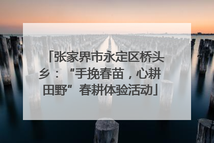 张家界市永定区桥头乡：“手挽春苗，心耕田野”春耕体验活动