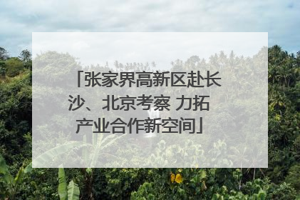 张家界高新区赴长沙、北京考察 力拓产业合作新空间
