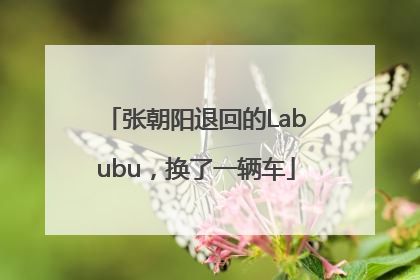 张朝阳退回的Labubu，换了一辆车