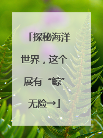 探秘海洋世界，这个展有“鲸”无险→