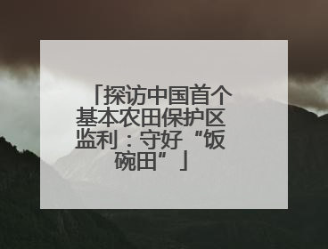 探访中国首个基本农田保护区监利：守好“饭碗田”