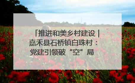 推进和美乡村建设｜嘉禾县石桥镇白珠村：党建引领破“空”局 乡贤聚力绘就新图景