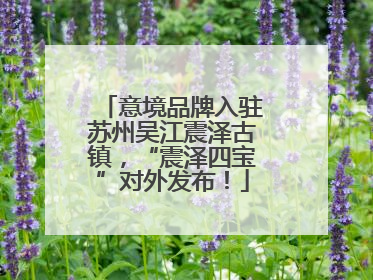 意境品牌入驻苏州吴江震泽古镇，“震泽四宝”对外发布！