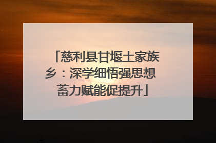 慈利县甘堰土家族乡：深学细悟强思想 蓄力赋能促提升