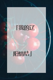 我的辽阳情结