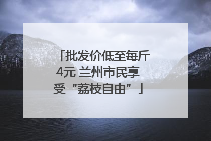 批发价低至每斤4元 兰州市民享受“荔枝自由”
