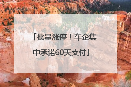 批量涨停！车企集中承诺60天支付
