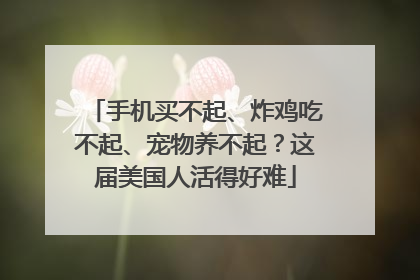 手机买不起、炸鸡吃不起、宠物养不起？这届美国人活得好难